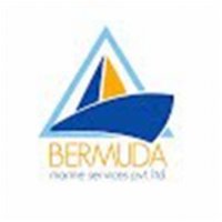 Bermuda Marine Services (Pvt) Limited. logo