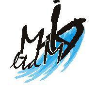 IMMA logo