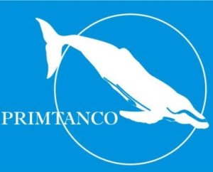 N A Company Logo 268819c