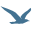 Company Seagull
