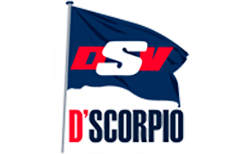 D'scorpio Vessels Private Limited logo
