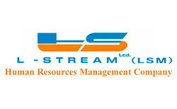 L-Stream Ltd ( LSM) logo