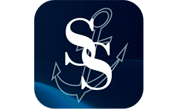 LLC Success Services