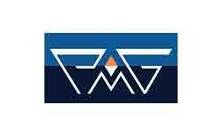 PMG Holding logo
