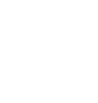 VEGA Z