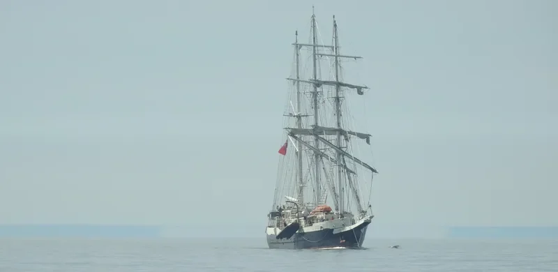 LORD NELSON General Cargo IMO 1002495 photo 8