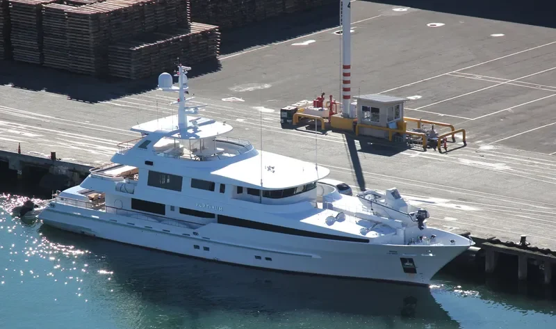 PLATINUM General Cargo IMO 1009209 photo 2