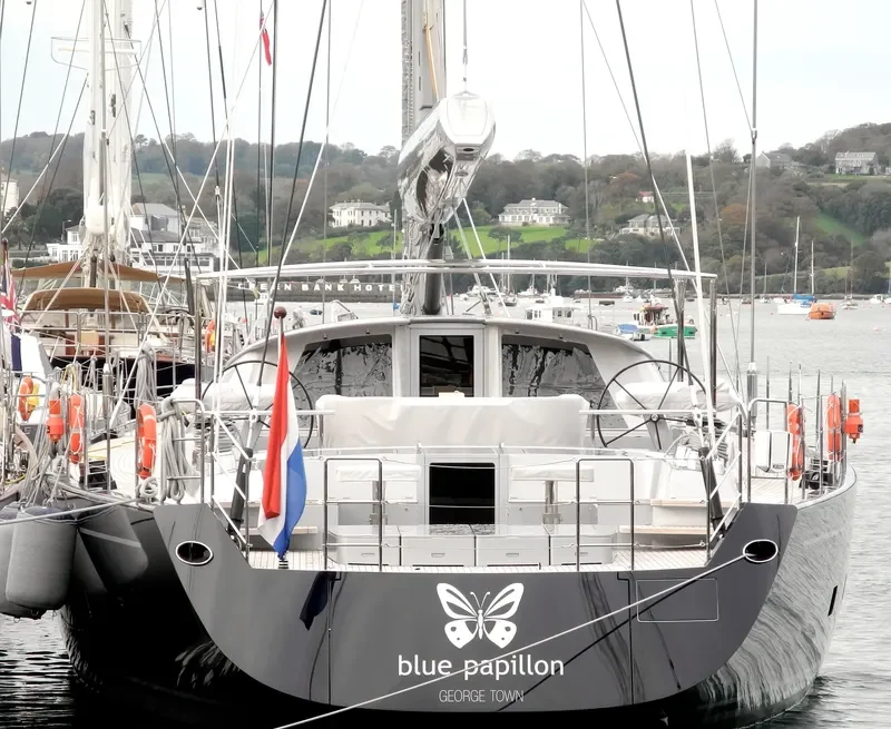 BLUE PAPILLON General Cargo IMO 1012062 photo 10