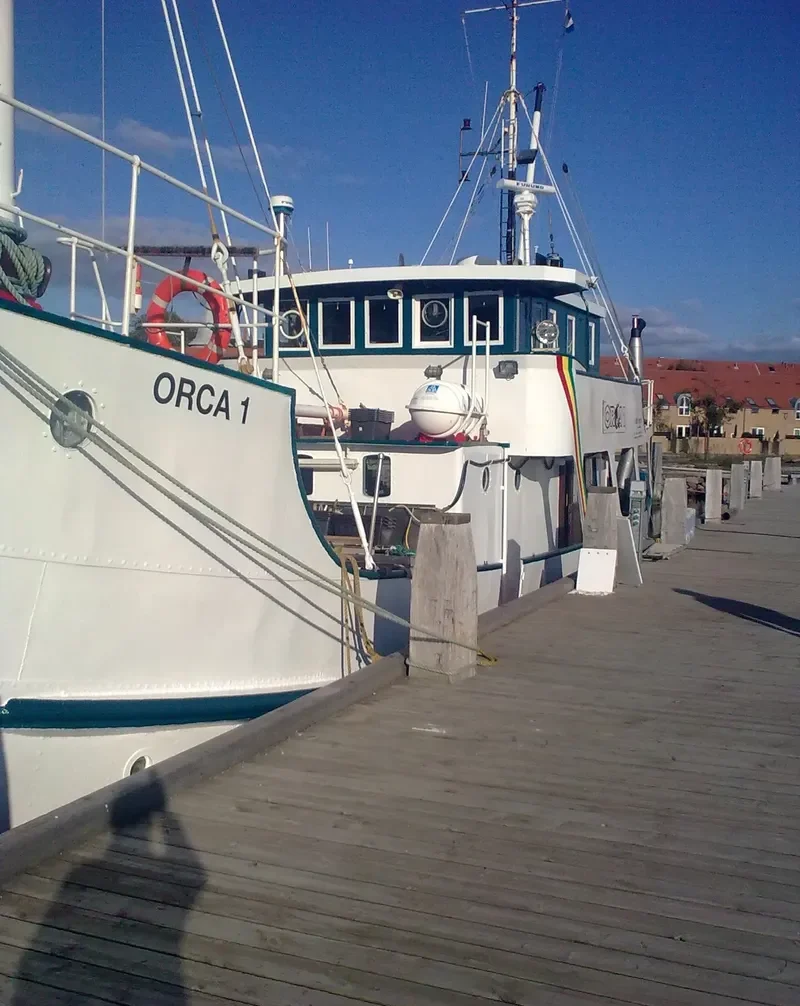 ORCA I General Cargo IMO 3523223 photo 9