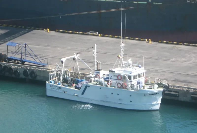 BI ANCON General Cargo IMO 4037300