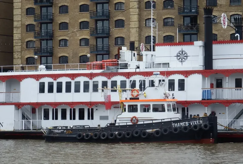 THAMES VIXEN General Cargo IMO 4501002 photo 10