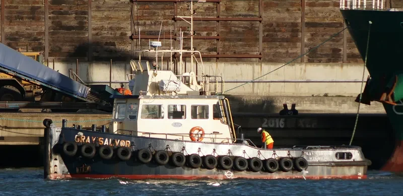 GRAY SALVOR General Cargo IMO 4501014 photo 2