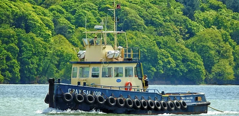 GRAY SALVOR General Cargo IMO 4501014 photo 4