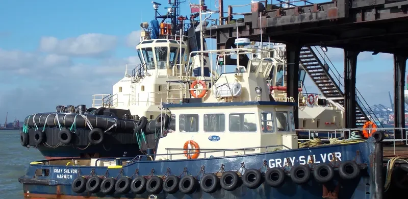 GRAY SALVOR General Cargo IMO 4501014 photo 6