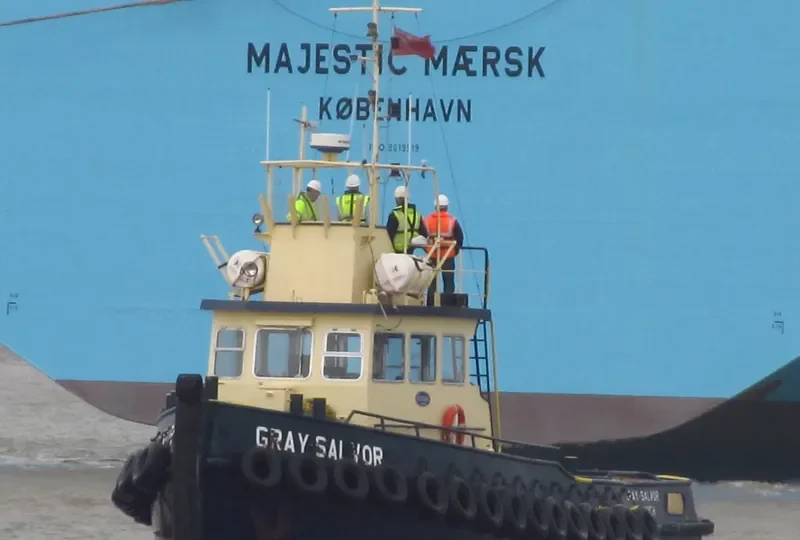 GRAY SALVOR General Cargo IMO 4501014 photo 7