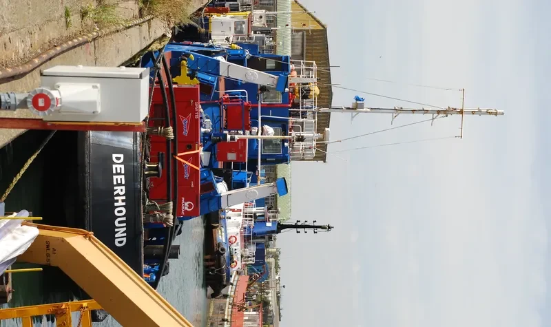 DEERHOUND General Cargo IMO 4902191 photo 2