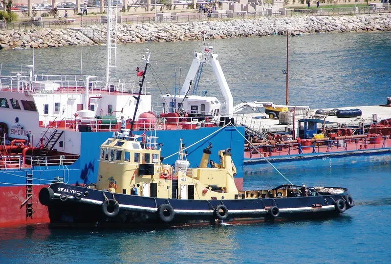 SEALYHAM General Cargo IMO 4902593 photo 2