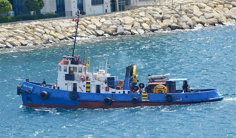 SEALYHAM General Cargo IMO 4902593 photo 3