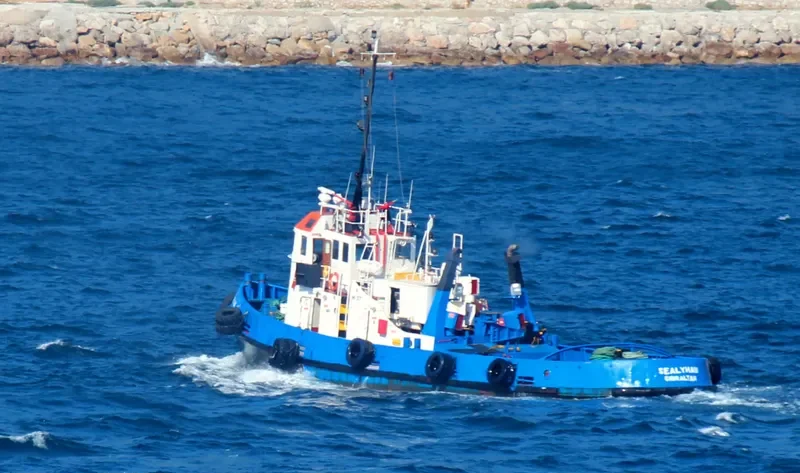 SEALYHAM General Cargo IMO 4902593 photo 10