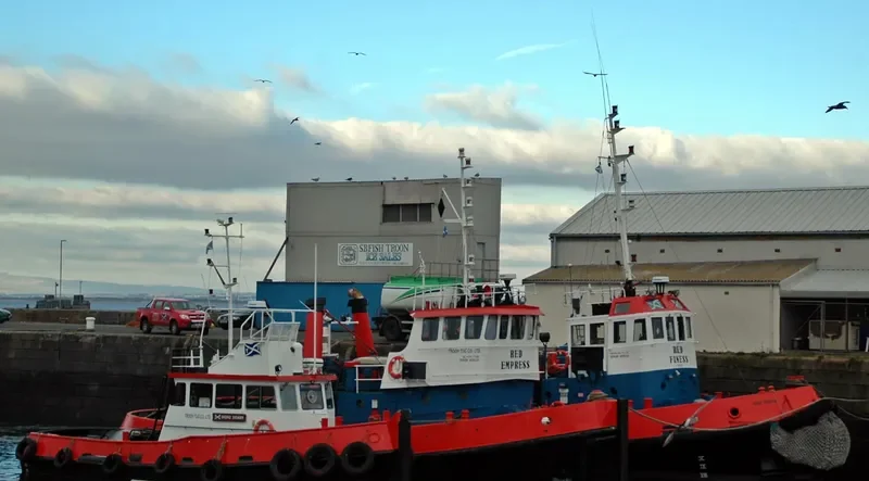 LEDRA IV General Cargo IMO 4902608 photo 10