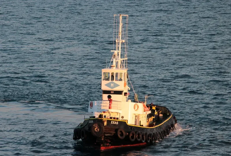 DIAS General Cargo IMO 5000990