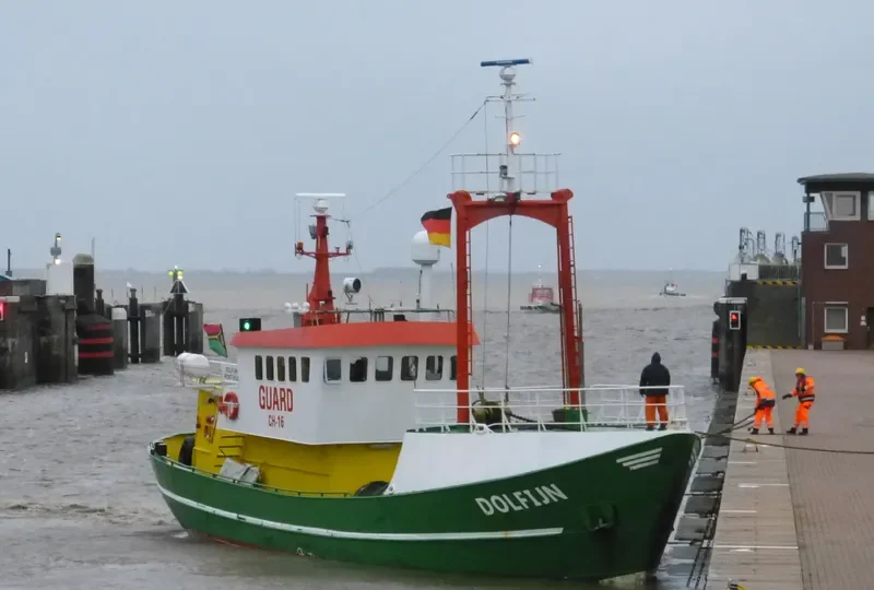 DOLFIJN General Cargo IMO 5004570 photo 3