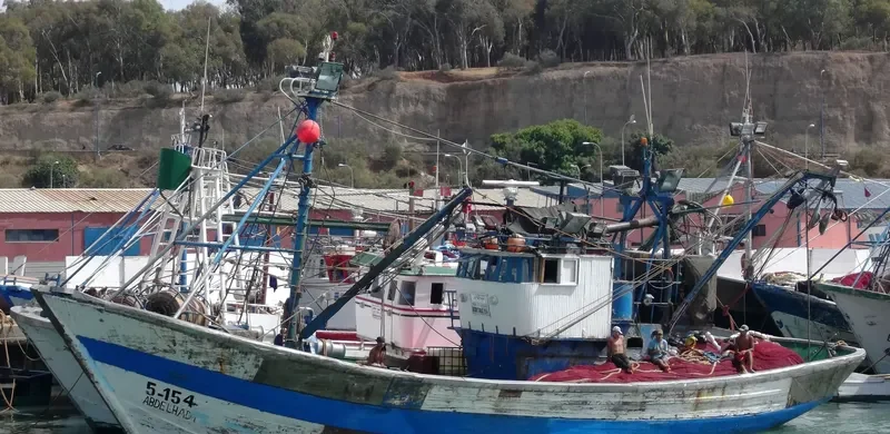 ABDEL AZIZ General Cargo IMO 5007730