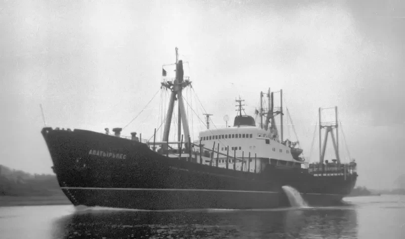 DELTA General Cargo IMO 5008095