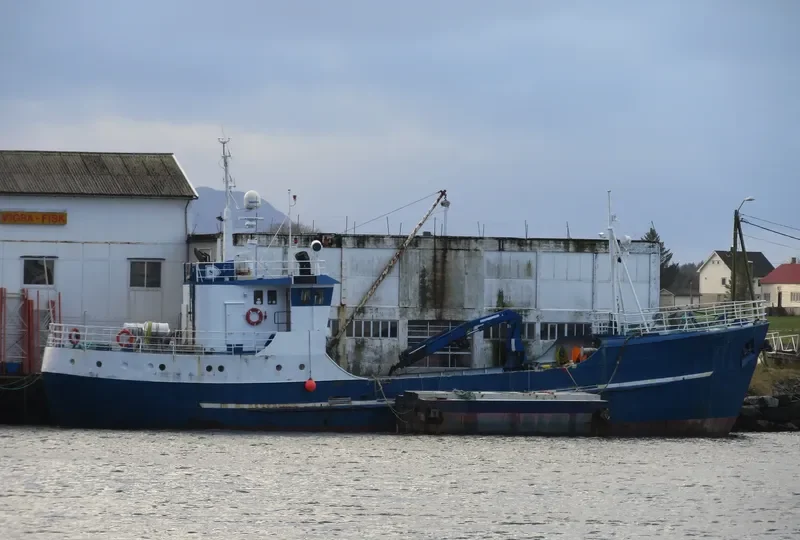 ODDOEY General Cargo IMO 5009673