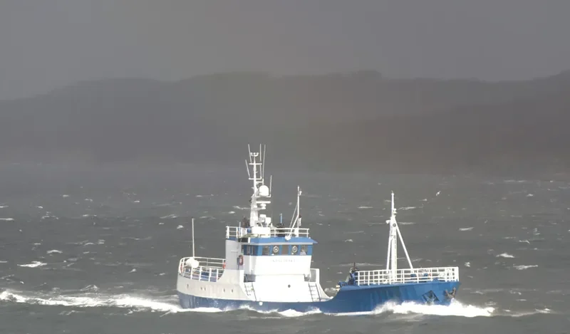 ODDOEY General Cargo IMO 5009673 photo 4