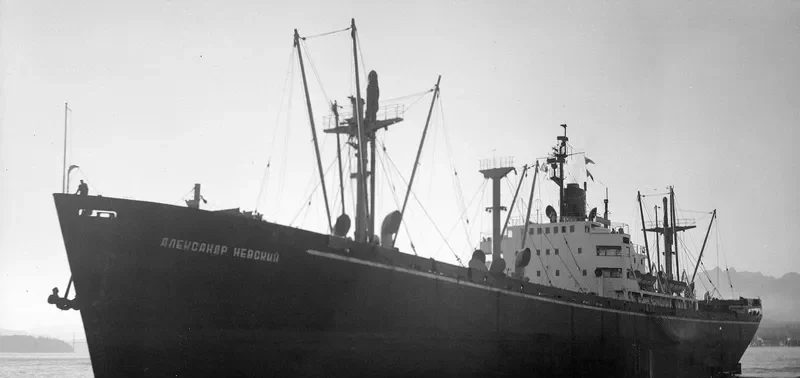 ALEKSANDR NEVSKIY General Cargo IMO 5010268