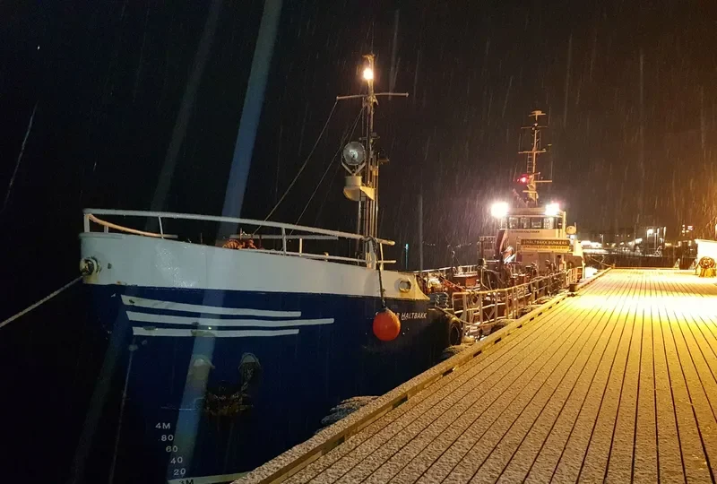 STEINAR HALTBAKK Tanker IMO 5012606