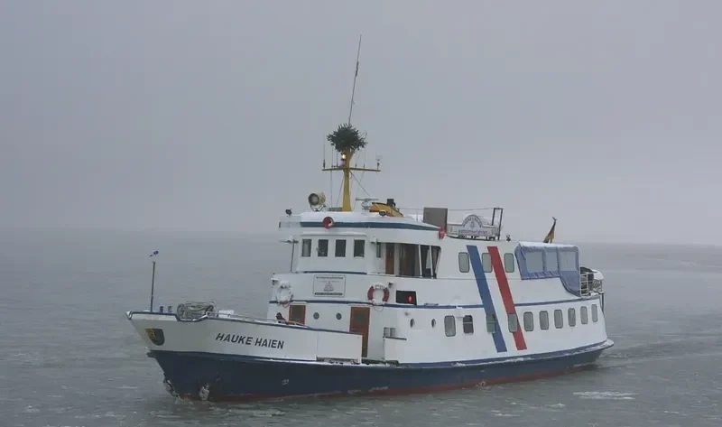 HAUKE HAIEN Passenger Ship IMO 5015311 photo 10