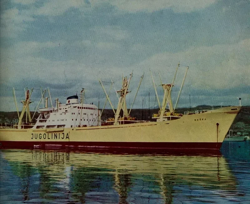 BASK General Cargo IMO 5037668