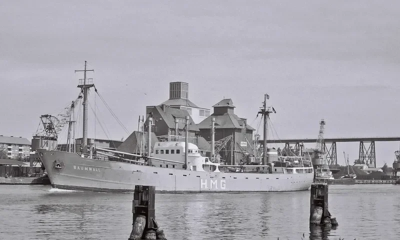 ABILITY General Cargo IMO 5038181