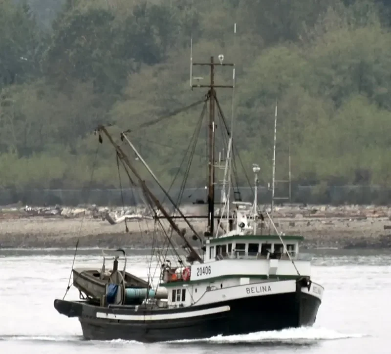 BELINA General Cargo IMO 5039678