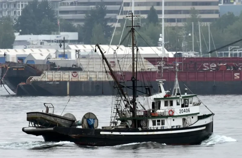 BELINA General Cargo IMO 5039678 photo 3