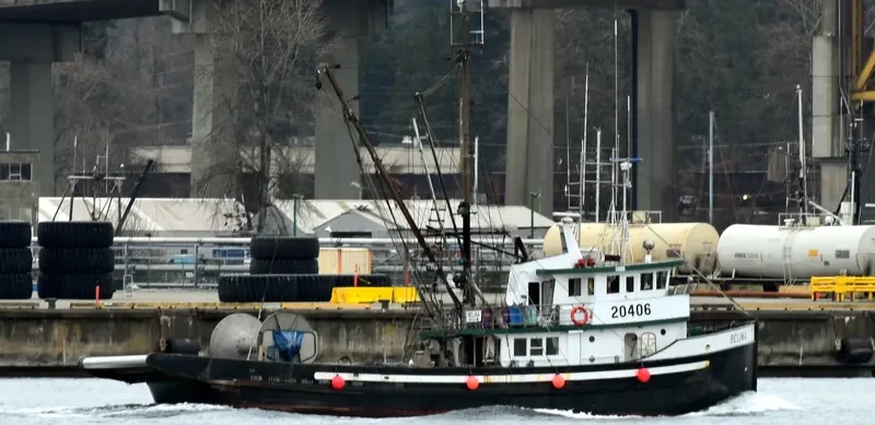 BELINA General Cargo IMO 5039678 photo 4