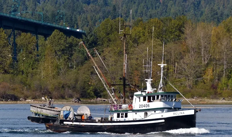 BELINA General Cargo IMO 5039678 photo 6