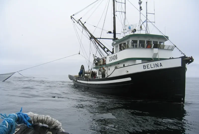 BELINA General Cargo IMO 5039678 photo 7