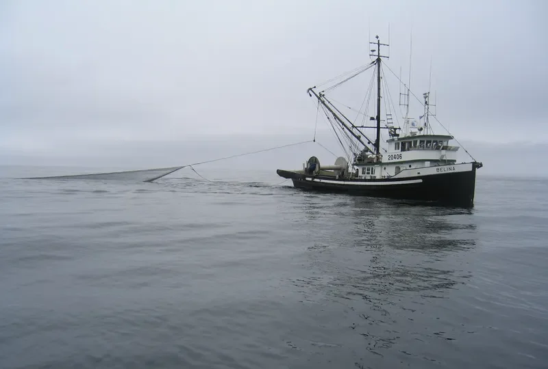 BELINA General Cargo IMO 5039678 photo 8