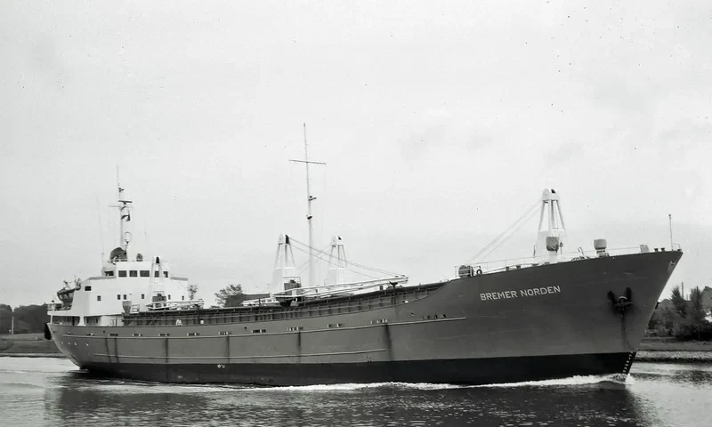 RENCI JUNIOR General Cargo IMO 5051298