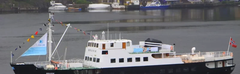 BRUVIK Passenger Ship IMO 5054343 photo 6