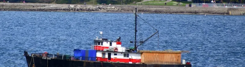 CAPE PINE General Cargo IMO 5061750 photo 3