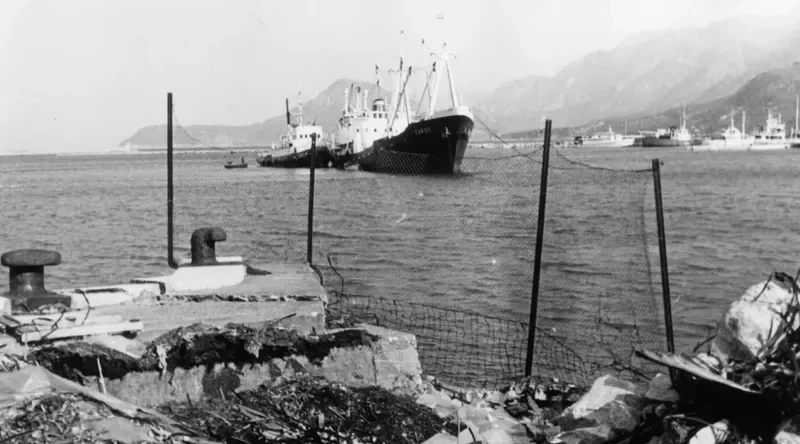 CARSO General Cargo IMO 5065093