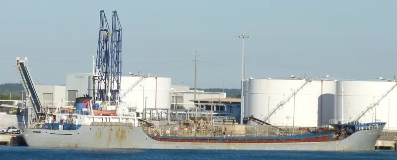 CECILE ERICKSON Bulk Carrier IMO 5066700