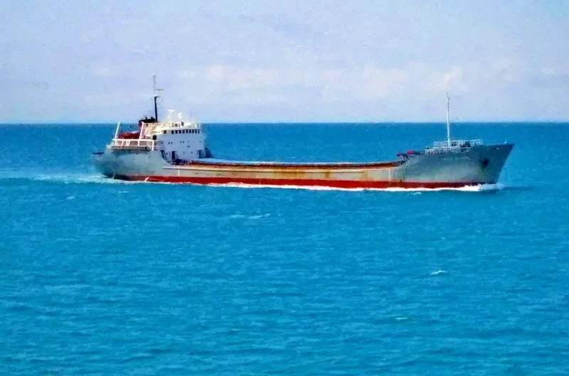 CECILE ERICKSON Bulk Carrier IMO 5066700 photo 2