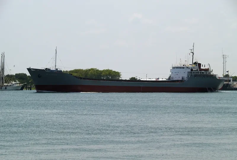 CECILE ERICKSON Bulk Carrier IMO 5066700 photo 5