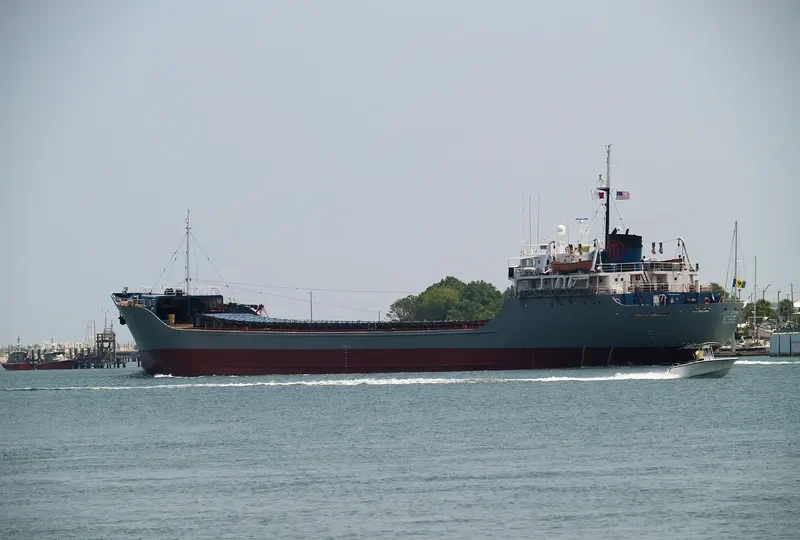 CECILE ERICKSON Bulk Carrier IMO 5066700 photo 6