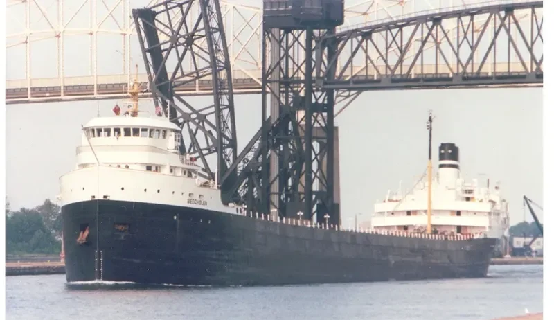 BEECHGLEN Bulk Carrier IMO 5068693